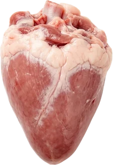 Cœur de dinde